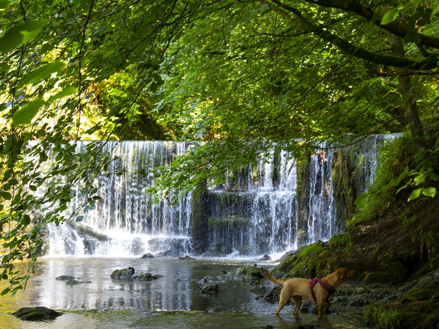 Stock Ghyll Force